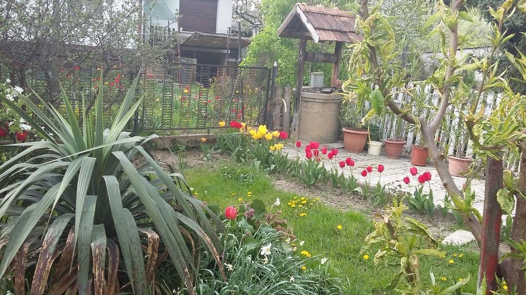 Alom Kucko Apartman Залаэгерсег Экстерьер фото